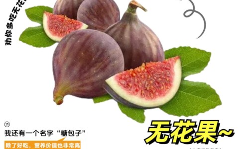 麦子打桩的功效与作用及禁忌-麦子打桩的功效与作用图片专区_麦子打桩的功效与作用是什么专区_麦子打桩的功效与作用网